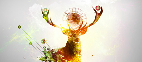 Create a Deer Abstraction 